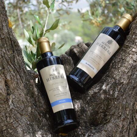 Pack 3 botellas - A elegir
